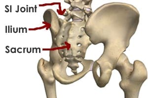 Sacroiliac Joint