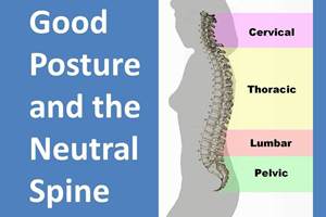 Why Having Good Posture Matters and What You Can Do About It